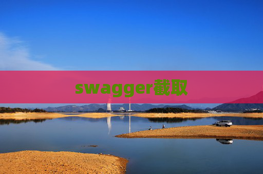 swagger截取
